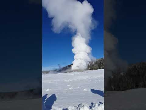 Old Faithful