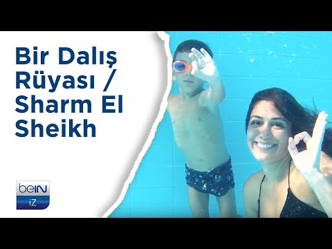 beIN İZ Belgesel | Farklı Rotalar: Bir Dalış Rüyası / Sharm El Sheikh