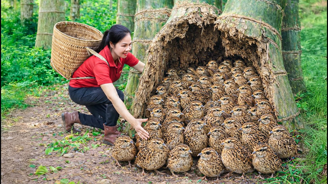 Harvest 1000+ Giant Wild Birds & Go to Market Sell | 150 Days From Egg to Survivor | off the grid