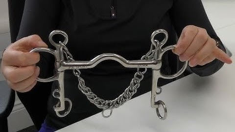 Medium Port Mouth Pelham