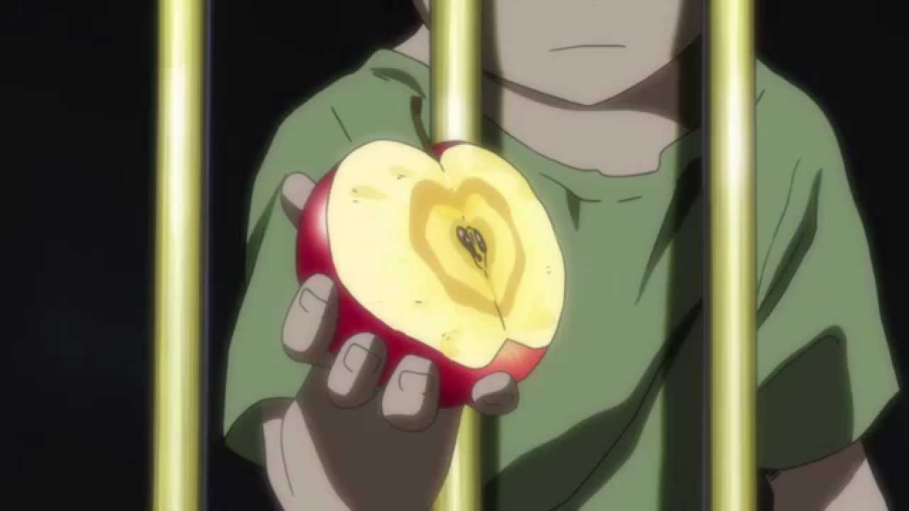 AMV | For You [Mawaru Penguindrum]