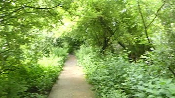 blauwe kamer  in between Rhenen and Wageningen (Netherlands) #shorts