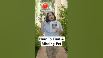 How To Find A Missing Pet