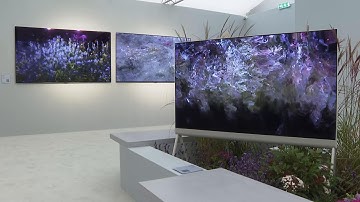 Blurring the lines between tech and art