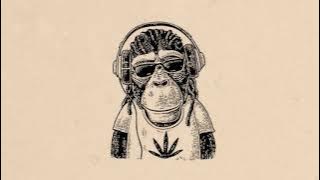 📿FREE Reggae Instrumental-Boombap/Reggae type beat- Vibes📿