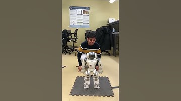 Face Recognition and Interaction (Nao)
