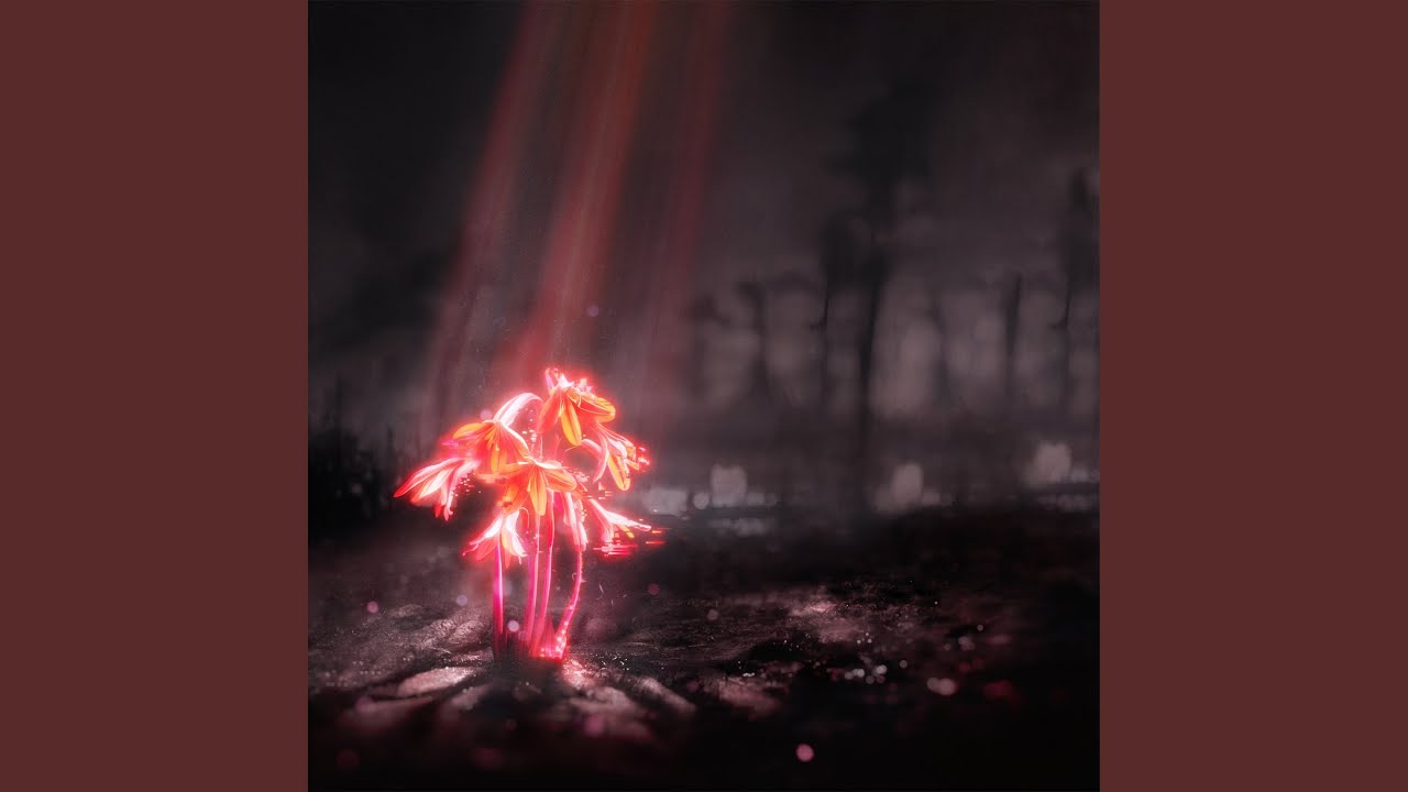 在 YouTube 上观看 Giant Pacific Octopus (i don’t know you anymore) 在 YouTube 上观看 Giant Pacific Octopus (i don’t know you anymore)