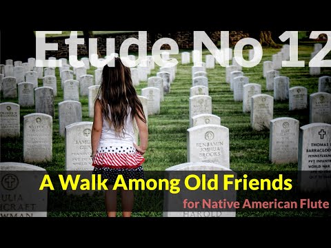 Native American Flute Etude No. 12 - A Walk Among Old Friends