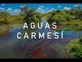 Travesía a las aguas de colores - Casanare