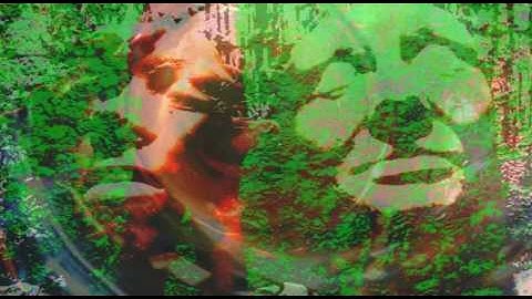 Clutter - The Phrenologist