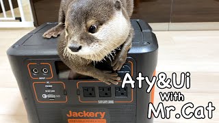 Camping in freezing temperatures? If you have a Jackery, you can do it! [Otter life Day 646]