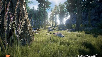 New Dawn - New Survival Game