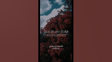 تلاوة عطرة للقارئ احمد عباس البلوشي من سورة الإنسان