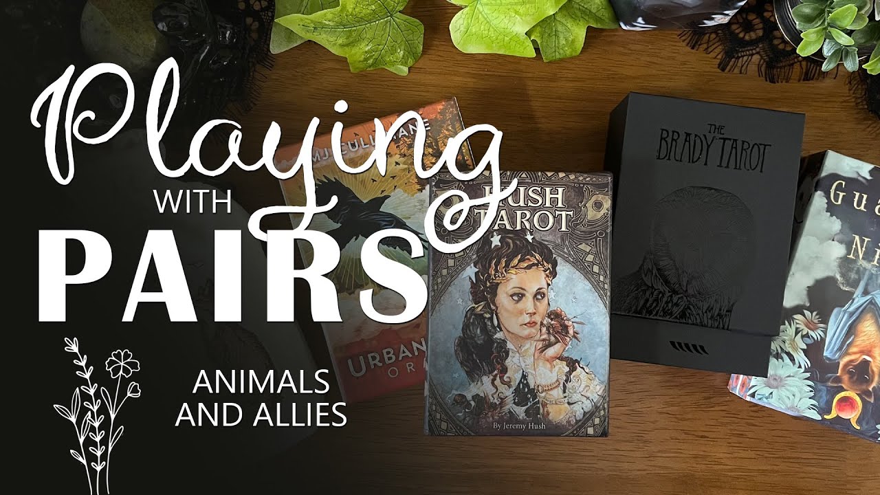 Animals and Allies | Playing With Pairs #2
