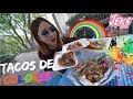 TACOS DE COLORES Y 19,460 VARIEDAD DE SABORES! - JEKS