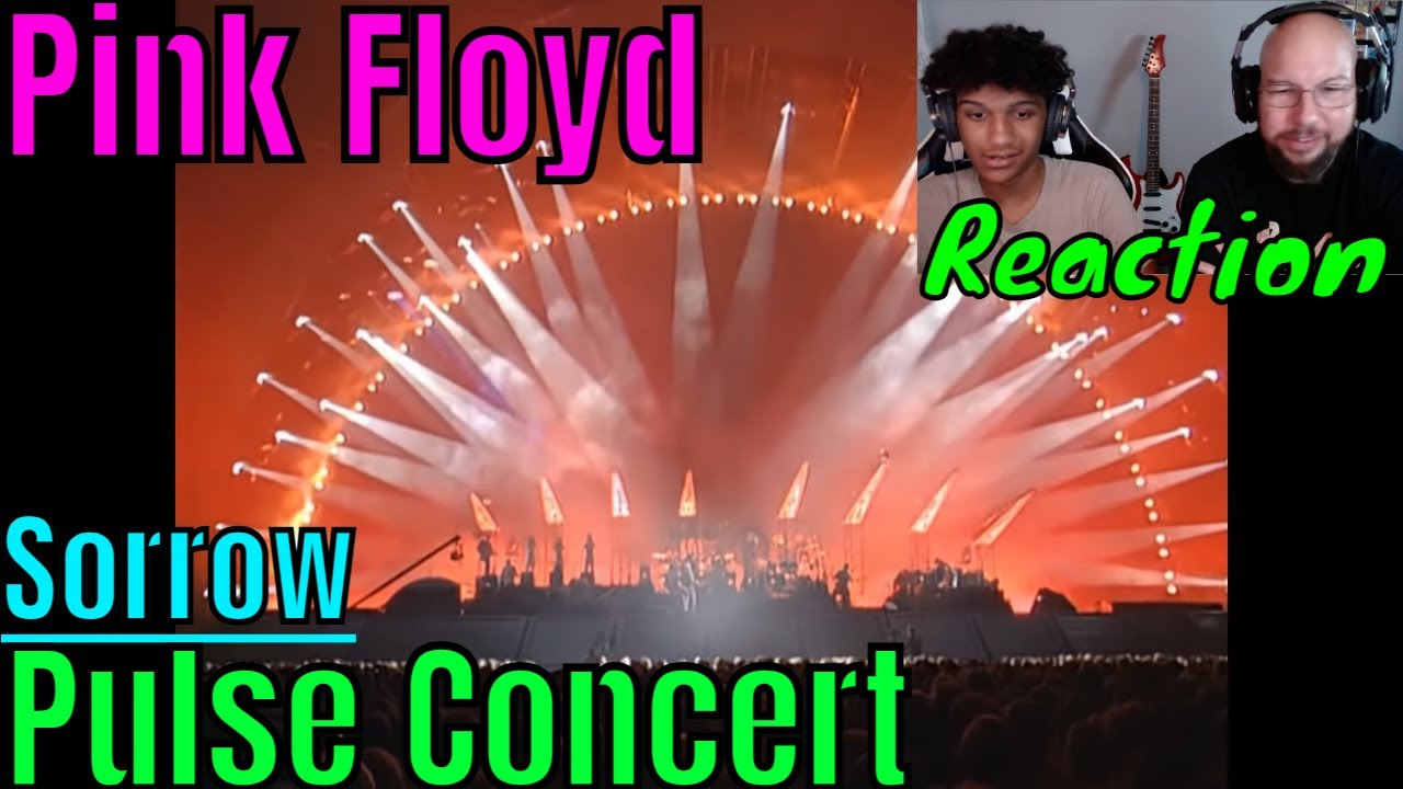 Pink Floyd Sorrow pulse concert performance 1994 REACTION YouTube