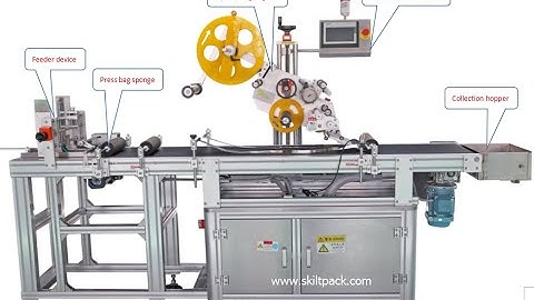 Automatic Paper Card Feeding Labeling Machine with Collect Conveyor System