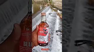 Tamil Sarakku Status Black Pearl Brandy Sarakku Alcoholic Buddy 