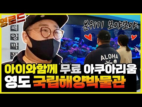 [부산가볼만한곳] 애들데리고 갈만한곳 영도 국립해양박물관💙/아쿠아리움 실내가볼만한곳 부산놀만한곳🐠/3D체험부터 다양한 볼거리가 가득👍🏻(영로드 ep.28✌)