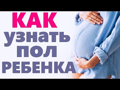 ПРИЗНАКИ БЕРЕМЕННОСТИ МАЛЬЧИКОМ | Как определить пол ребенка без УЗИ по приметам