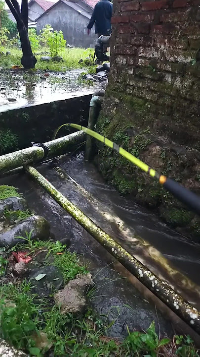 spotnya luar biasa ‼️#fishing #mancing #lahmancinglah