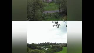 Julianstown Co Meath