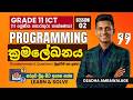 Grade 11 ICT | Programming Basics & Past Paper Questions | Session 02