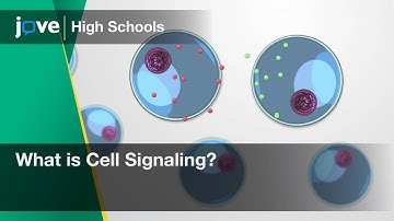 What is Cell Signaling? | Bio | Video Textbooks - Preview