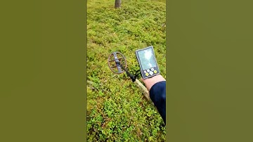 Detecting in forest with Mars MD Gauss MD #metaldetecting