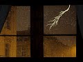 ⚡ Thunderstorm Ambience with Wind, Thunder / Lightning &amp; Rain Against the Window for Sleep and Relax