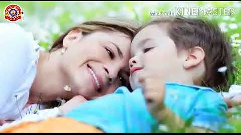 KRSMA#Standard 5 Basic Science Part 1 Lesson 7 Windows Of Knowledge.