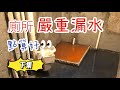 廁所嚴重漏水可以點搞呀？詳細介紹廁所裝修過程（下集）What To Do with Leaking Shower Room| Shower Room Renovation Process(II)