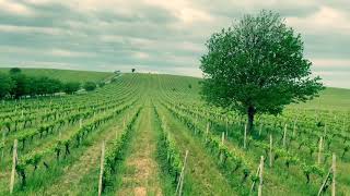 İsmayıllı Turu - Hacıhətəmli, İvanovka, Qalacıq.