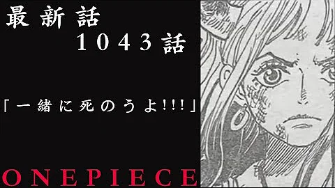 ワンピース1042話日本語