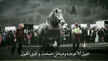 خيول الاعوجية