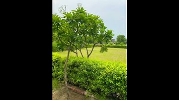 MVDA approved plots in Vrindavan. #plots #vrindavan #dreamhome #property #realtorpawann #realestate