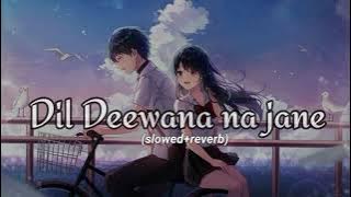 Dil Deewana na Jane kab kho Gaya song (slowed reverb)#viral #trending #songs