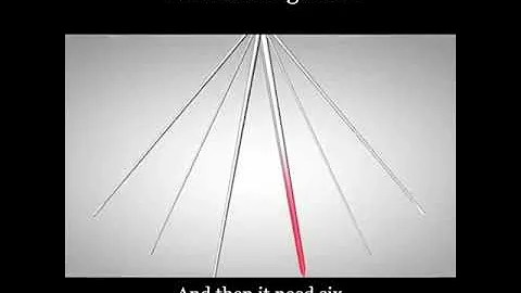 How mosquitoes suck your blood 😤 😒