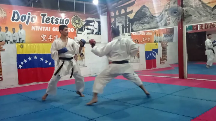 Sensei Ubaldo Gonzlez Nintai Guarico