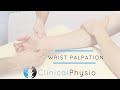 Wrist Joint Palpation | Clinical Physio