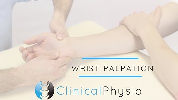 Wrist Joint Palpation | Clinical Physio