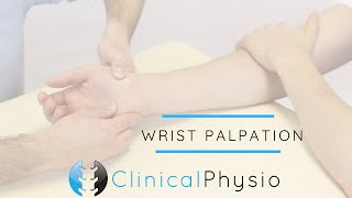 Wrist Joint Palpation | Clinical Physio