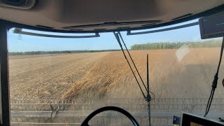 Combine Beans, Break Down, Repeat
