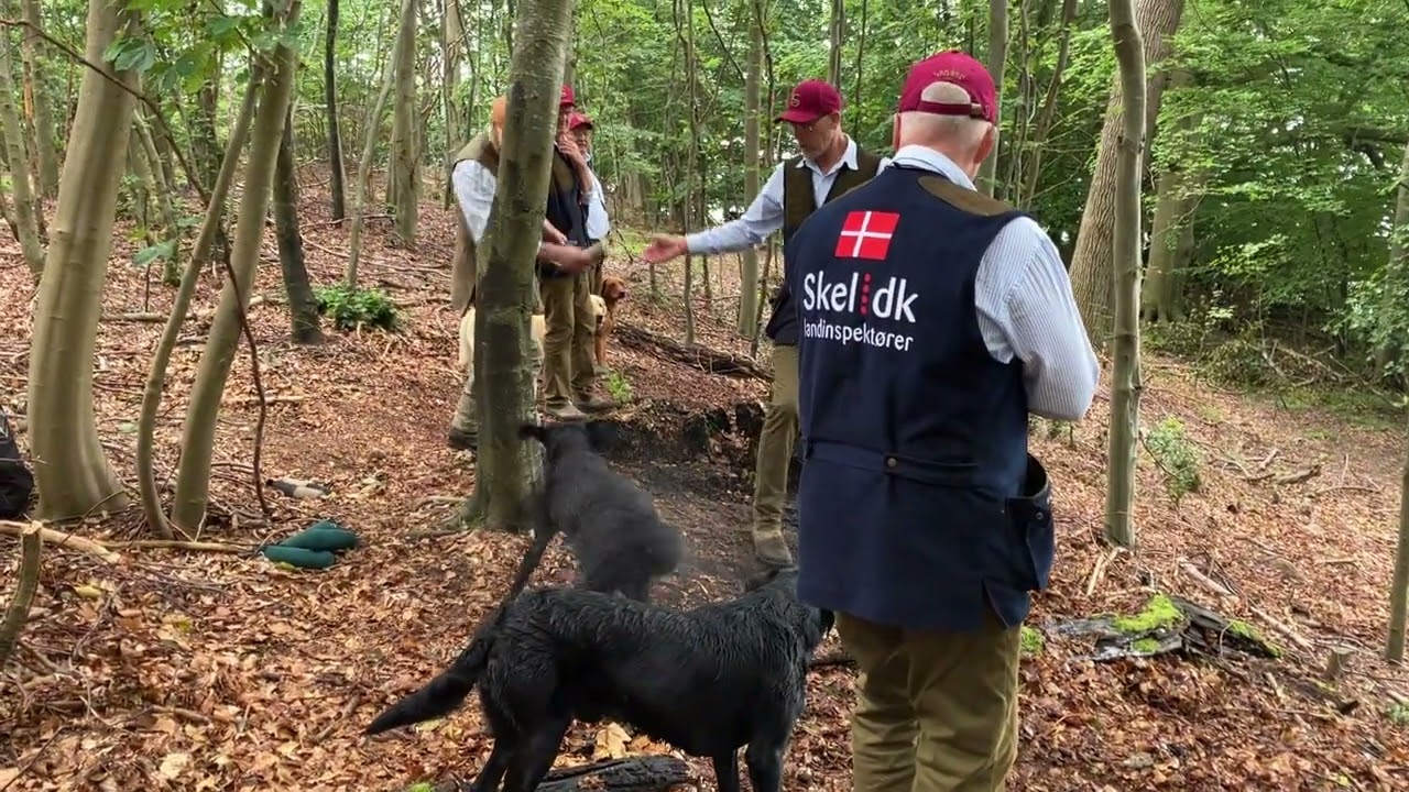 Brahetrolleborg Gamefair - Profine Nations Cup 2023 - TEAM 2