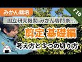 【みかん栽培】#10 剪定 基礎編 考え方と3つの切り方