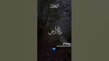 تلاوه رائعه للشيخ محمد الشحات انور #قناه نور القرآن الكريم #صلو على النبي