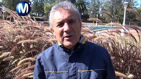 sergio orellana
