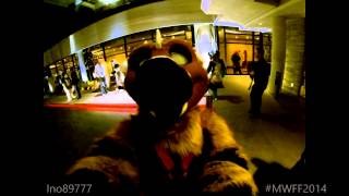 Telephone at MWFF2014