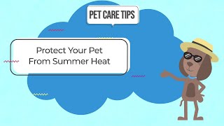 Protect Your Pet From Summer Heat! by Gilbertsville Veterinary Hospital 7 views 2 years ago 44 seconds