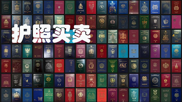 多一本护照多一种选择，最快3个月成为世界公民，世界护照合法买卖大盘点。 - 天天要闻